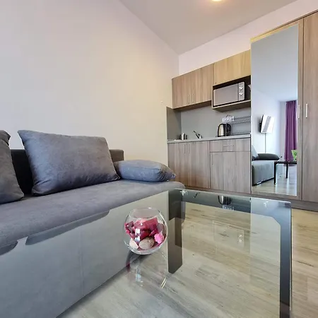 Apartment Sapareva