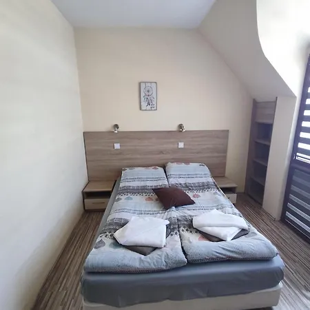 Apartment Sapareva *