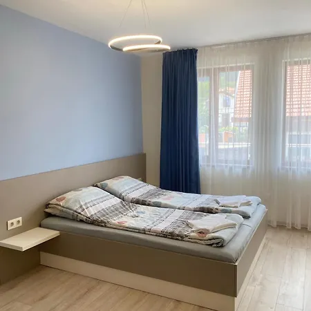 Sapareva Apartment